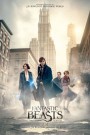 Fantastic Beasts . . . and Where to Find Them